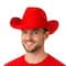 Adult Felt Costume Cowboy Hat